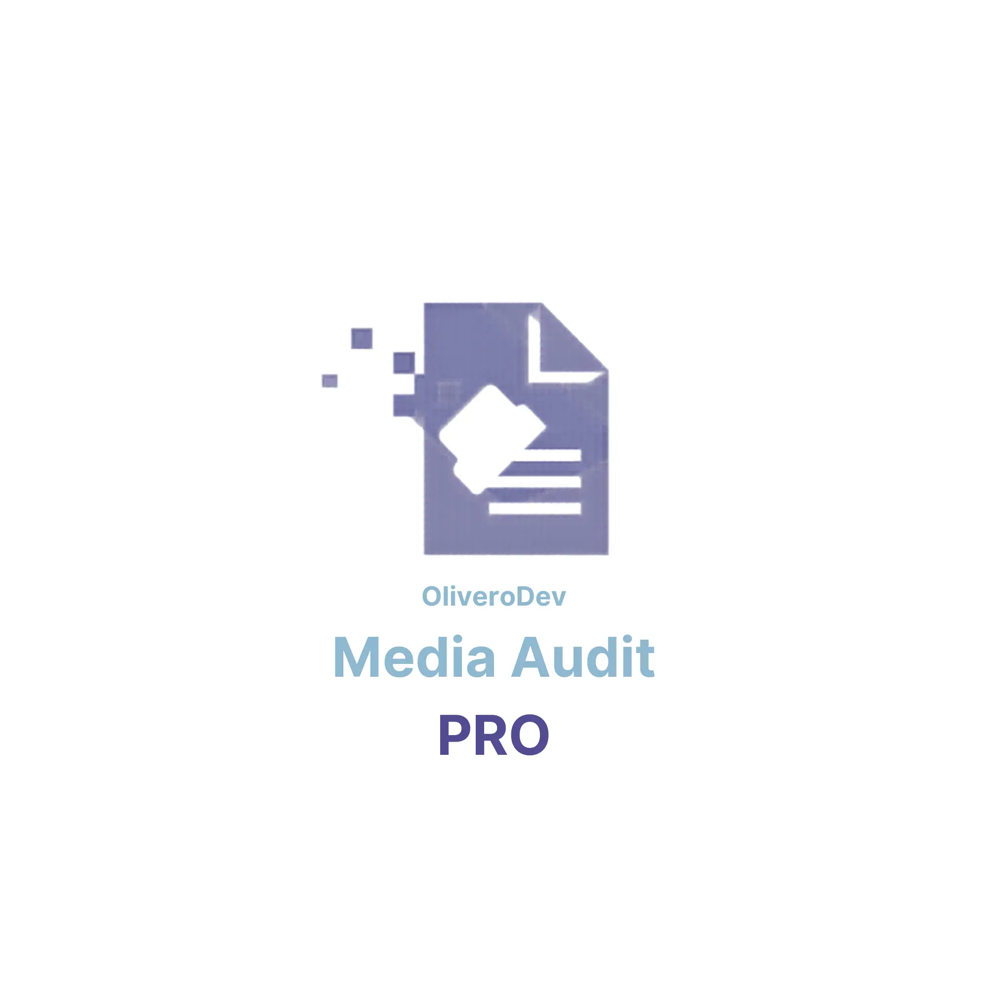 Media Audit