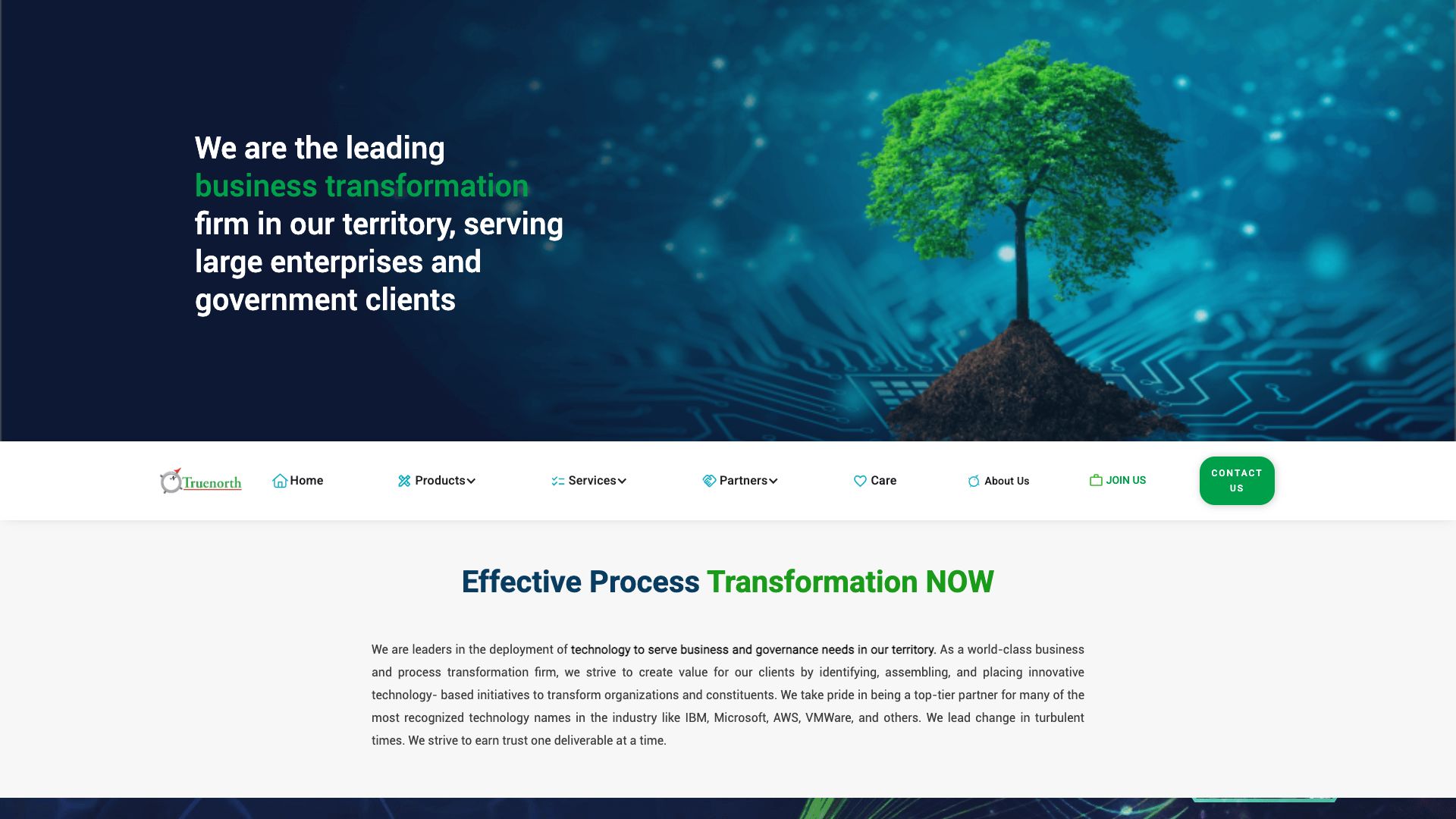 Truenorth Corporation